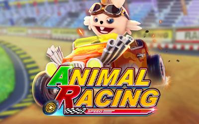 ANIMAL RACING