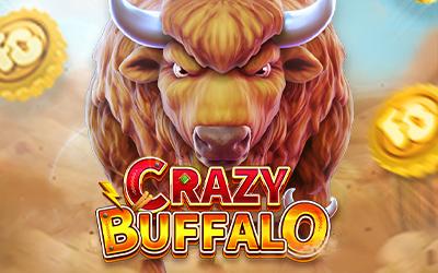 CRAZY BUFFALO