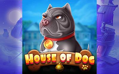 House of Dog