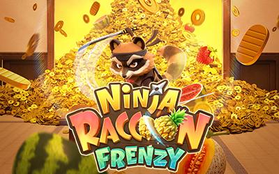 Ninja Raccoon Frenzy