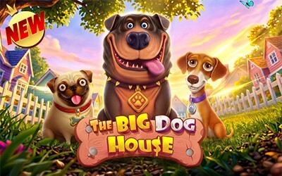 The Big Dog House