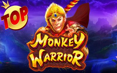 Monkey Warrior