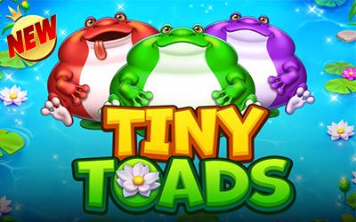 Tiny Toads