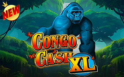 Congo Cash XL