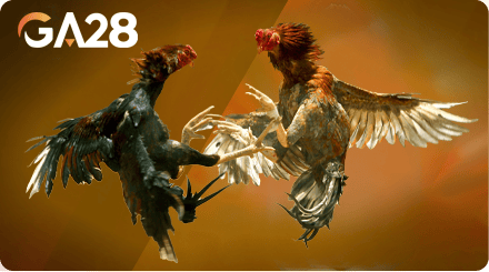 GA28