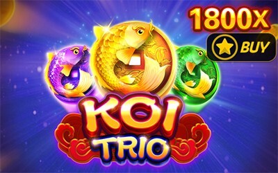 KOI TRIO