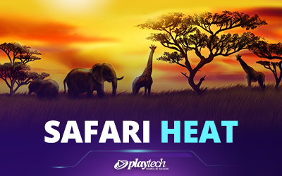 Safari Heat