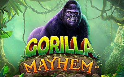 Gorilla Mayhem