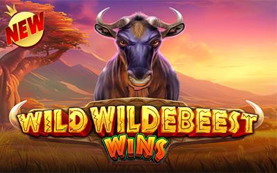 Wild Wildebeest Wins