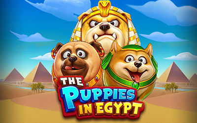 THE PUPPIES IN EGYPT