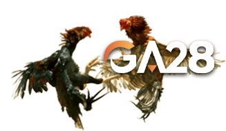 GA28