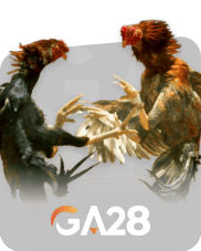 GA28
