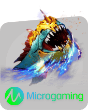 MicroGaming