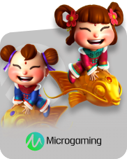 MicroGaming