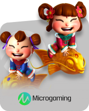 MicroGaming